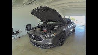 Matthew SIsk Drives 2015 Mustang 2.3 Ecoboost