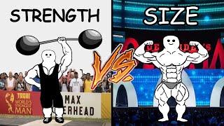 Strength Vs Size (What's Better?)