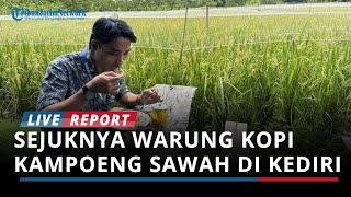 Sejuknya Warung Kopi Kampoeng Sawah di Kediri, Sajikan Kuliner Lokal dengan Nuansa Pedesaan