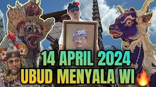 UBUD BERGETAR!!! FULL VIDEO NGARAP PELEBON PURI AGUNG UBUD 2024 Alm.Tjokorda Bagus Santaka 2024