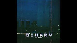 Plenka - Binary