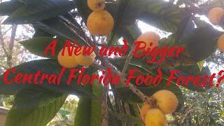 A new Central Florida Food Forest?