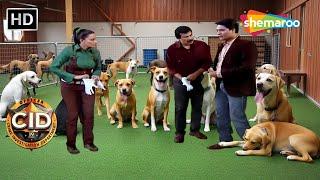 CID ने क्यों डाला Dog Training Centre में Raid ? || CID | सीआइडी | New Ep | Hindi Crime Show