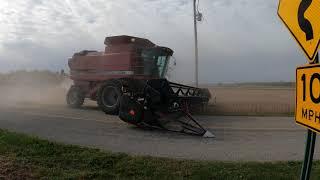 Street Harvest Action - CASE IH 2388 Axial Flow Combine - Soybeans - Lenawee - Harvest 2020 - 5K