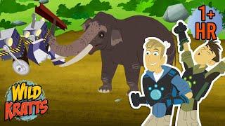 Asian Elephant Rescue | Creature Rescues | Wild Kratts