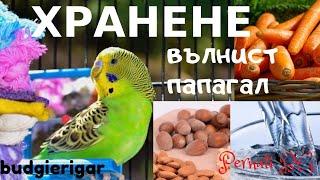 Хранене на вълнист папагал