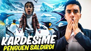 KARDEŞİME PENGUEN SALDIRDI ! (Dünyanın En İyi Abisi) 12.Bölüm @derintass