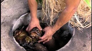 Traditional Tongan cooking and food: coconuts and the Umu