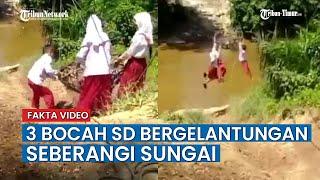 Ini Cerita Sebenarnya di Balik Video Viral 3 Bocah SD Bergelantungan Seberangi Sungai di Riau