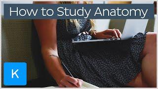 How to study for Human Anatomy | Kenhub