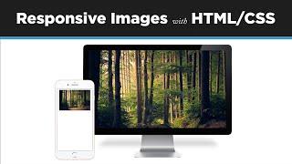 How to Make Images Responsive in HTML & CSS // Responsive Web Design Tutorial