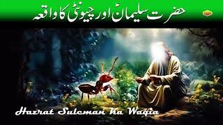 Hazrat suleman aur chunti ka waqia | Prophet sulaiman and ants story | M. Shafiq  | New Waky Ramzan