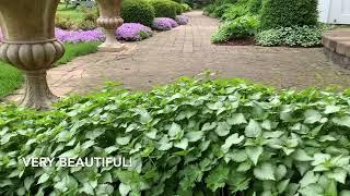 Garden Tour And Money Save Tips