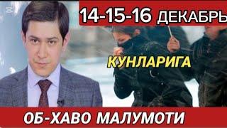 14-15-16  ДЕКАБРЬ КУНЛАРИ УЧУН ОБ ХАВО МАЛУМОТИ, ob havo.