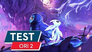 Ori and the Will of the Wisps Test / Review: Wundervoller Märchenwald