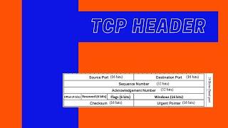 TCP Header Structure