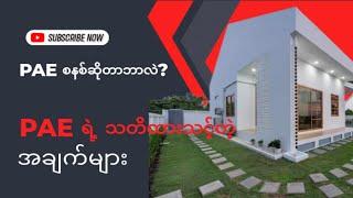 PAE ဆိုတာဘာလဲ? PAE စနစ်ရဲ့ အချက်အလက်များနဲ့ သတိထားစရာများ