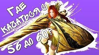 Black Desert - Где качаться с 56 до 60 уровня? | Гайды Black Desert