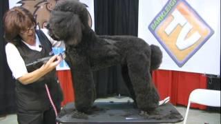 Diane Betelak Poodle Grooming W/ Snap On Comes Demo