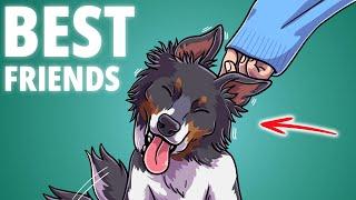 How To Be A Dog's Best Friend