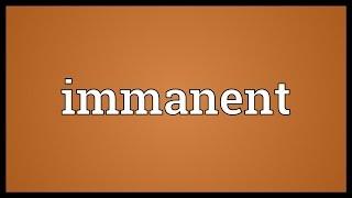 Immanent Meaning