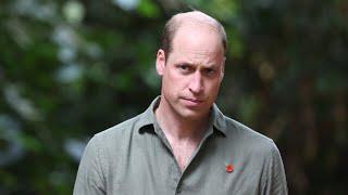 ‘He’s really sick of this’: Prince William frustrated at brother over latest act