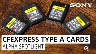 Sony Alpha Spotlight: CFexpress Type A Cards