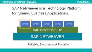 What is SAP Netweaver