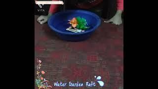 Water Garden Raft l EVS l Stem activity l Class 4th l Floating Garden l #water #garden #raft