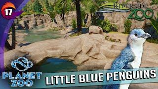 Little Blue Penguins | Riverside Zoo Ep. 17 | PLANET ZOO: Oceania DLC