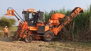 Case Sugarcane Harvesting Process  | Sugarcane Harvesting Machine Price