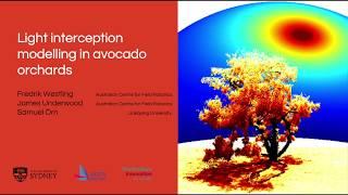 Light Interception and Modelling in Avocado Orchards