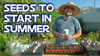 Why I Am Starting THESE Plants In July | Veggies, Herbs, & Flowers!