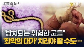 역사상 가장 치명적인 바이러스 등장했지만...재앙 자초한 트럼프? [지금이뉴스] / YTN