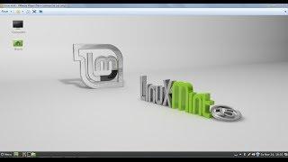 How to use VMware Linux Mint in Full Screen with VMware Tools