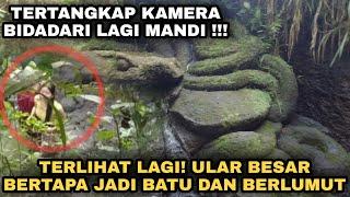 SAMPAI BERLUMUT ! ULAR BERTAPA MENJADI BATU RATUSAN TAHUN DITENGAH SUNGAI