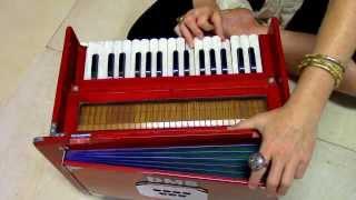 A Beginner's Tutorial: "Lokah samasta", played on harmonium (SRYBC)