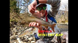 BIG GRAYLING CAUGHT ON MINI FAT RAP | RAPALA