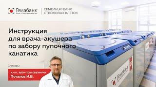 Инструкция для врача-акушера по забору пупочного канатика