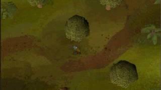 How To Get To Draynor Village From Lumbridge