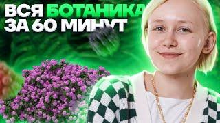 Вся ботаника за 60 минут. Что нужно знать для ОГЭ по биологии? | Биология ОГЭ 2023 | Умскул