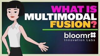 What is MULTIMODAL FUSION?