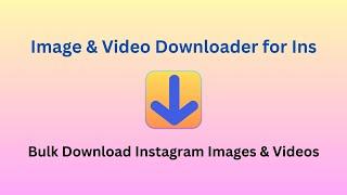 How to Bulk Download Instagram Images & Videos (2025 Guide)