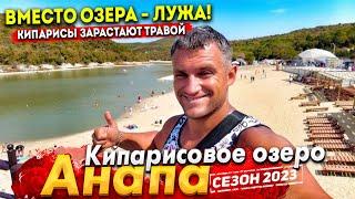 #АНАПА КИПАРИСОВОЕ ОЗЕРО ВНОВЬ ПОД УГРОЗОЙ! ПОЧЕМУ ТАК ДОРОГО? СТОИТ ЛИ СЮДА ЕХАТЬ? ОТДЫХ В СУККО