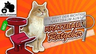 Kratzbaum XXL, Kratzbaum günstig, Kratzbaum für große Katzen - worauf achten? Katzenbaum Ratgeber