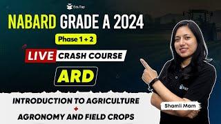 NABARD Grade A 2024 Crash Course | NABARD Online Classes | NABARD Phase 1 & 2 Syllabus Preparation