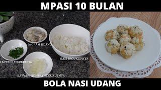 MPASI 10 BULAN (BOLA NASI UDANG)