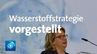 Das ist die Wasserstoffstrategie der Bundesregierung