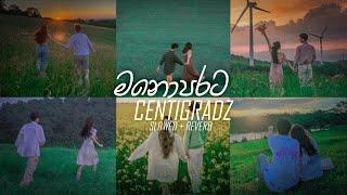 Centigradz old Best Songs (Slowed + Reverb) Collection Manoparakata | DEZTER BEATS