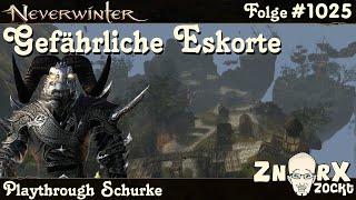 NEVERWINTER #1025 RÜCKKEHR NACH PIRATES SKYHOLD - Gefährliche Eskorte - Let‘s Play PS4/PS5 deutsch